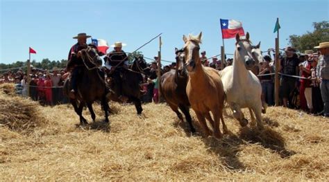 The Huasos of Chile