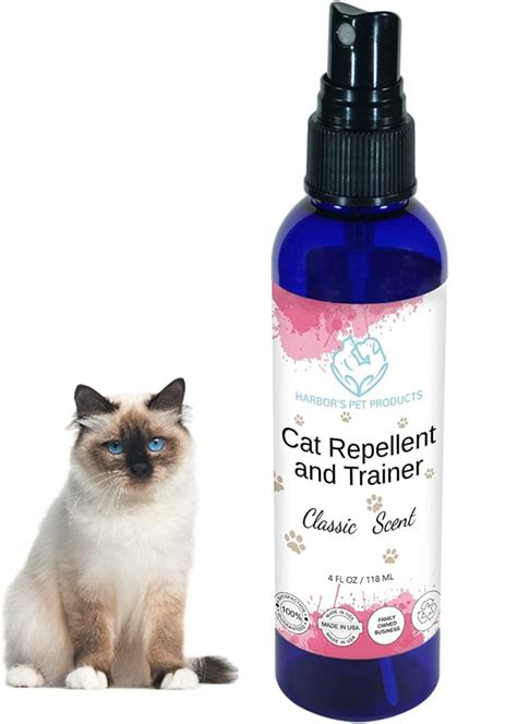 Best Cat Deterrent Sprays to Keep Kitties Out of Trouble - Bone & Yarn