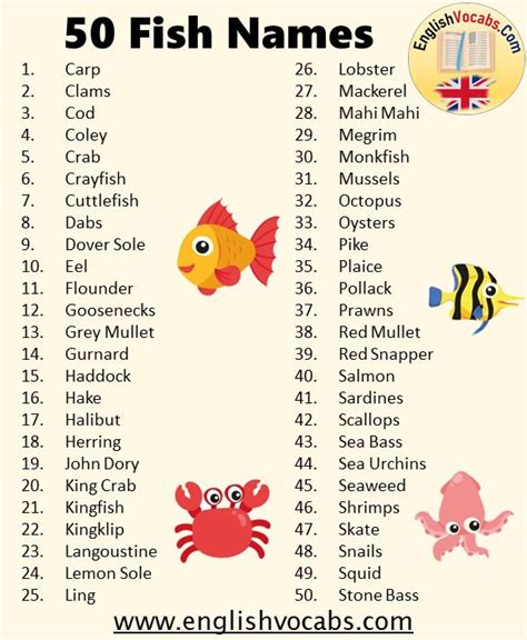 50 Fish Names List - English Vocabs | Pet fish, Fish, Beta fish names