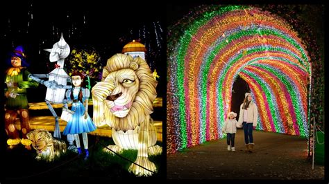 Wild Lights RETURN to Dublin Zoo this winter with a BRAND NEW theme