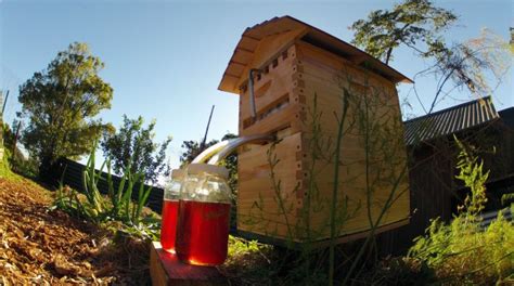 Flow Hive Makes Harvesting Honey Easier for Bees and Keepers