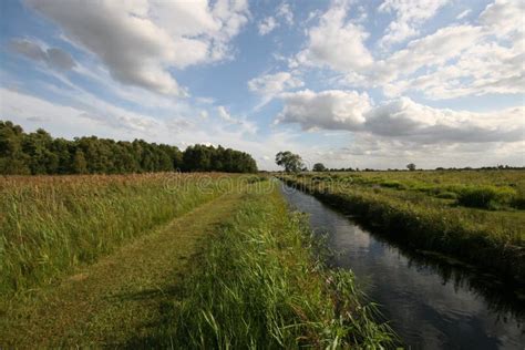 Fenland Landscape In Winter Stock Image - Image of habitat, ecology: 67111265