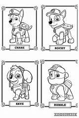 Pin By Bettina Netta Juhasz On Színez  Paw Patrol coloring sketch template