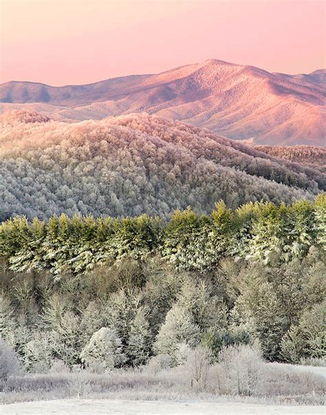 "APPALACHIAN WINTER" | LIGHT OF THE WILD | Photography by Scott Hotaling