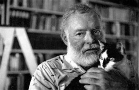 26 Interesting Vintage Photos of Ernest Hemingway With His Beloved Cats ~ Vintage Everyday