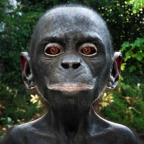 Young Bonobo Ape - ZBrushCentral