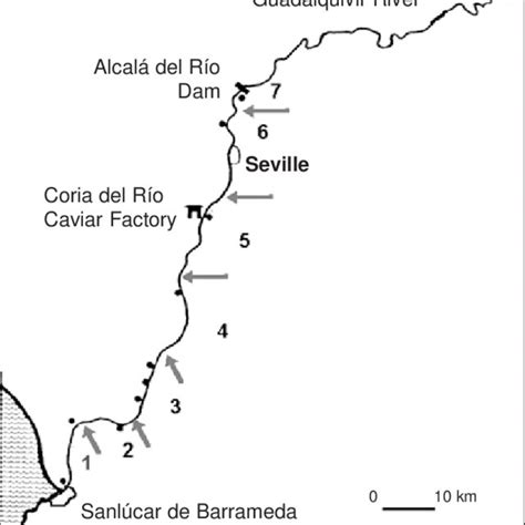 Map of the Guadalquivir estuary, localities and river sections.... | Download Scientific Diagram