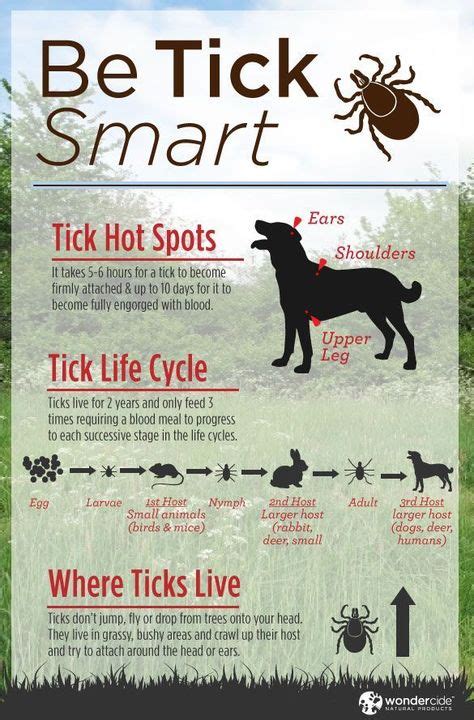 Pin by River Rock Adventures on Pets Camp Too | Tick prevention, Pet emergency, Dog care tips