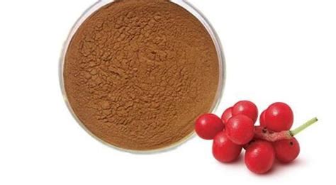 Schisandra Chinensis Fruit Extract - manufacturer - undersun