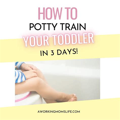 How To Potty Train Your Toddler in 3 Days - This New Mom