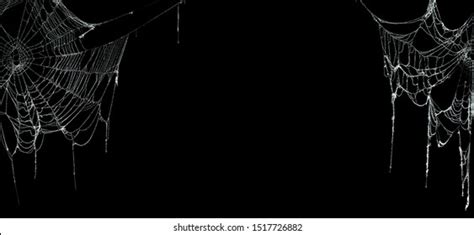 Real Creepy Spider Webs On Black Stock Photo 1517726882 | Shutterstock