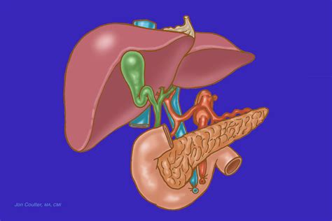 The Official Dr. Thomas E. Starzl Web Site: The Transplanted Organs, Pancreas Transplantation