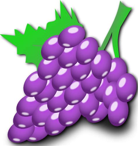 Grapes Cartoon