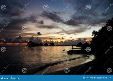 Sunset in the Maldives, Landscape Stock Photo - Image of scenery ...