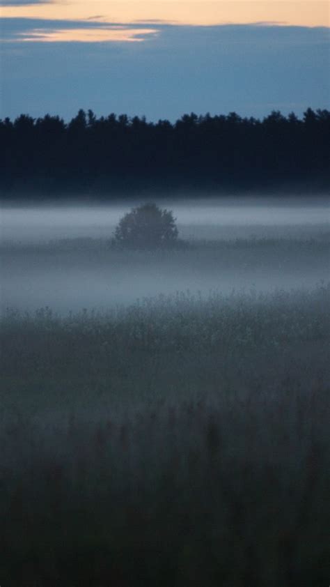 Mystical Foggy Landscape