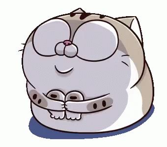 Ami Fat Cat Sticker - Ami Fat Cat Cute - Discover & Share GIFs