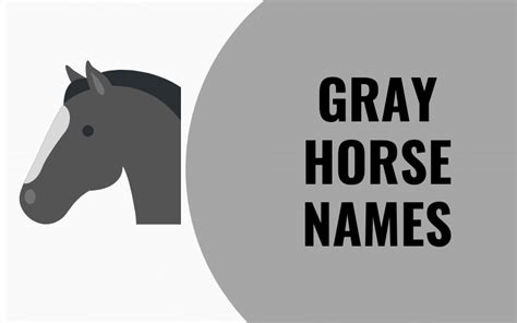 149 Gray Horse Names - Equine Desire