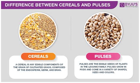 What is the Difference between Cereals and Pulses