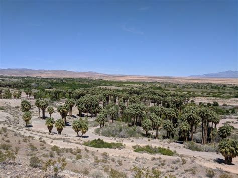 View from the Warm Springs Overview trail, Moapa National Wildlife Refuge, Nevada | National ...