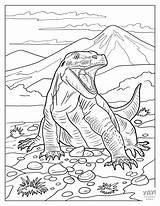 Komodo Dragon Coloring Pages Free Printables sketch template