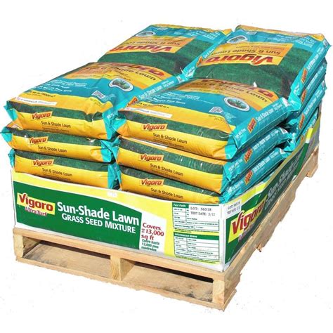 Vigoro 20 lb. Grass Sun-Shade Lawn Seed-25084 - The Home Depot