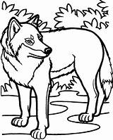 25 Free Wolf Coloring Pages For Kids And Adults  Blitsy sketch template