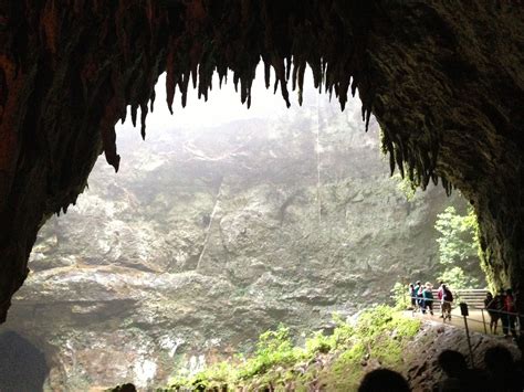 Camuy Caves, Puerto Rico Camuy, Cavern, Puerto Rico, Places Ive Been ...