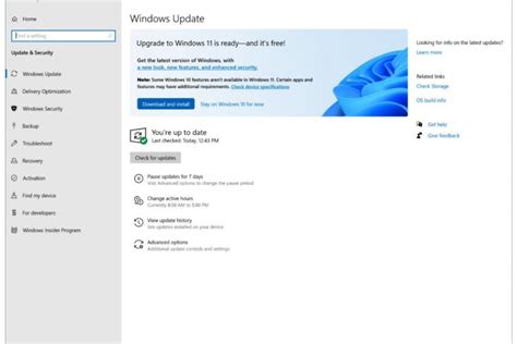 Windows 11 update for windows 10 - dolffabric