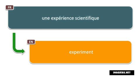 How to Say in French = experiment - YouTube