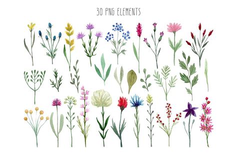 Watercolor Wildflowers | Wildflower drawing, Flower drawing, Watercolor flowers paintings