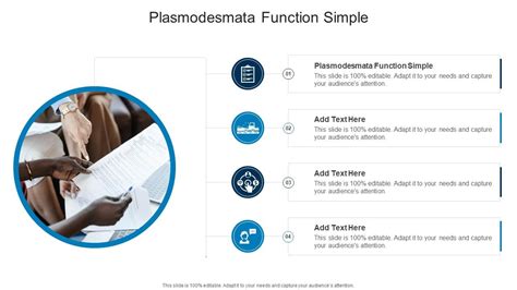 Plasmodesmata Function Simple In Powerpoint And Google Slides Cpb