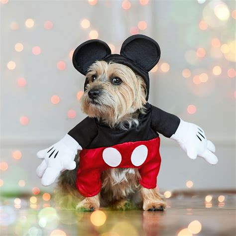 The Best Disney Dog Costumes for a Magical Halloween | BeChewy