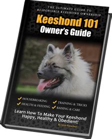 Keeshond 101: Owner's Guide