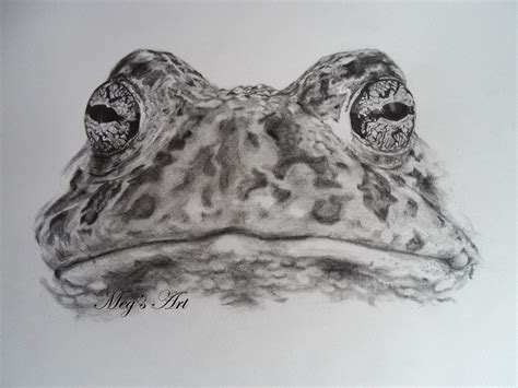 Toad by stardust12345 on DeviantArt