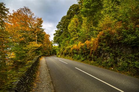 Autumn Forest Clean Road Free Stock Photo - Public Domain Pictures