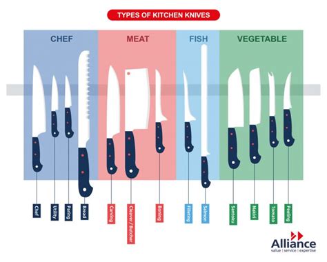 Types of knives: A guide to kitchen knives and their uses – Alliance ...