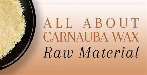 ALL ABOUT CARNAUBA WAX