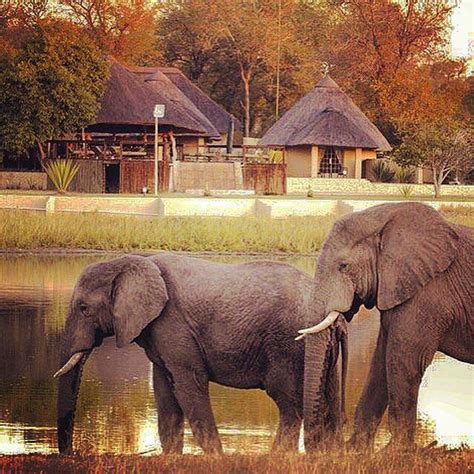 Arathusa Safari Lodge | Zuid afrika