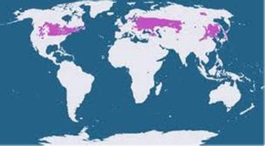 Geographic Distribution - Humid Continental