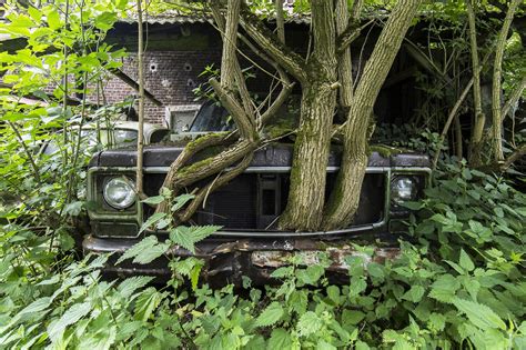 Watch Nature Reclaim These Abandoned Buildings | WIRED