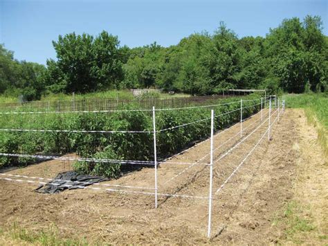 Homemade Electric Fence For Garden - Home Fence Ideas