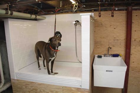 How To Build A Dog Wash Station - DIY | Pets | Pinterest