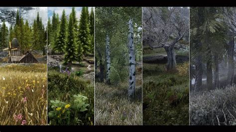 Skyrim SE - ENB Comparison (RE- Updated) - YouTube