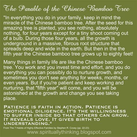 and Spiritually Speaking: The Parable of the Chinese Bamboo Tree | Chinese bamboo tree, Chinese ...