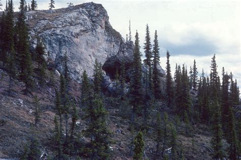 Humans inhabited North America 10,000 years earlier than previously ...