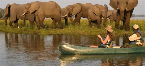 2023 African Travel Bucket List - Atelier Africa Safaris