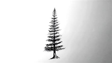 How to Draw a Tree | Realistic Pine | How to draw a pine tree - YouTube