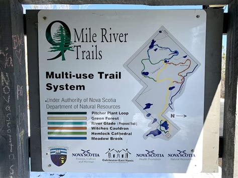 Hiking The Nine Mile River Hiking Trails, Nova Scotia - Hikers Movement