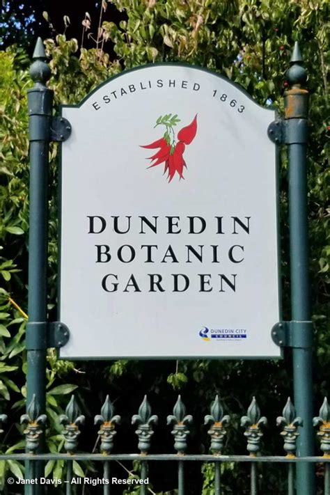 Dunedin Botanic Garden | Janet Davis Explores Colour