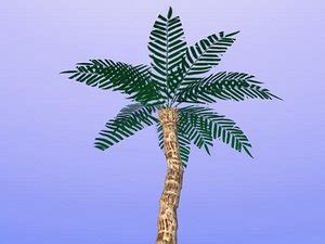 Free Low Poly Palm Tree 3D Models for Download | TurboSquid